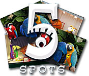 5 spots pc game feature image
