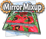 mirror mixup mirror mixup