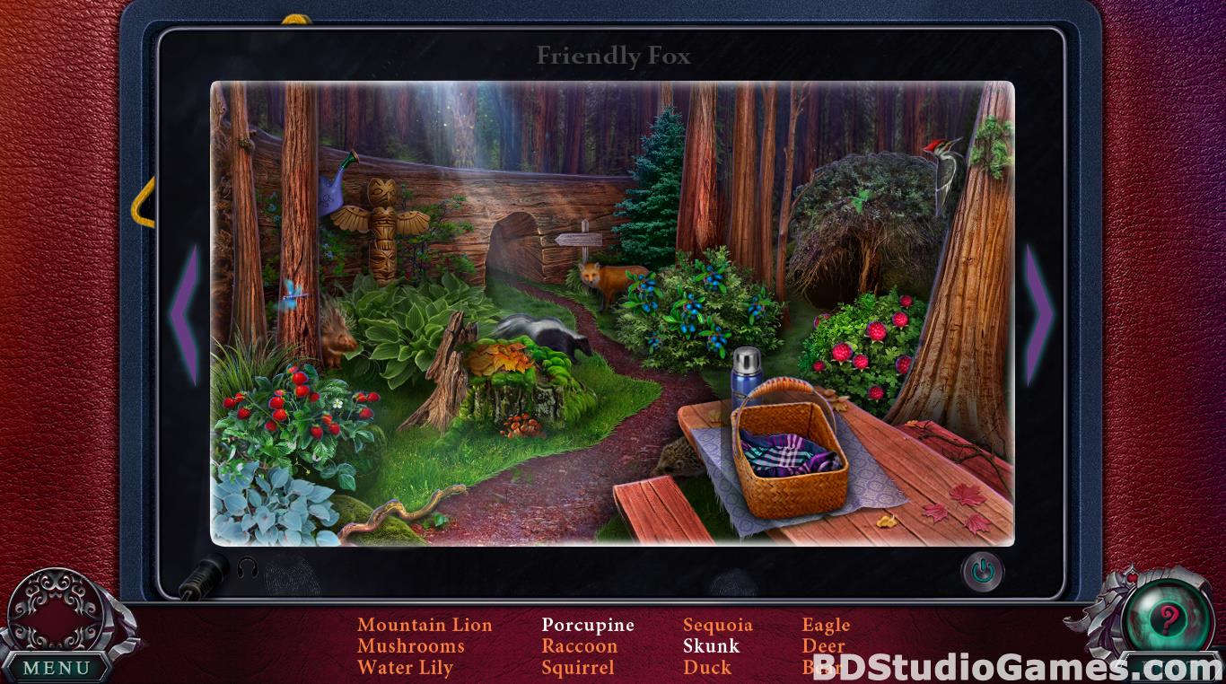 Edge of Reality: Lost Secrets of the Forest Collector's Edition Free Download Screenshots 13