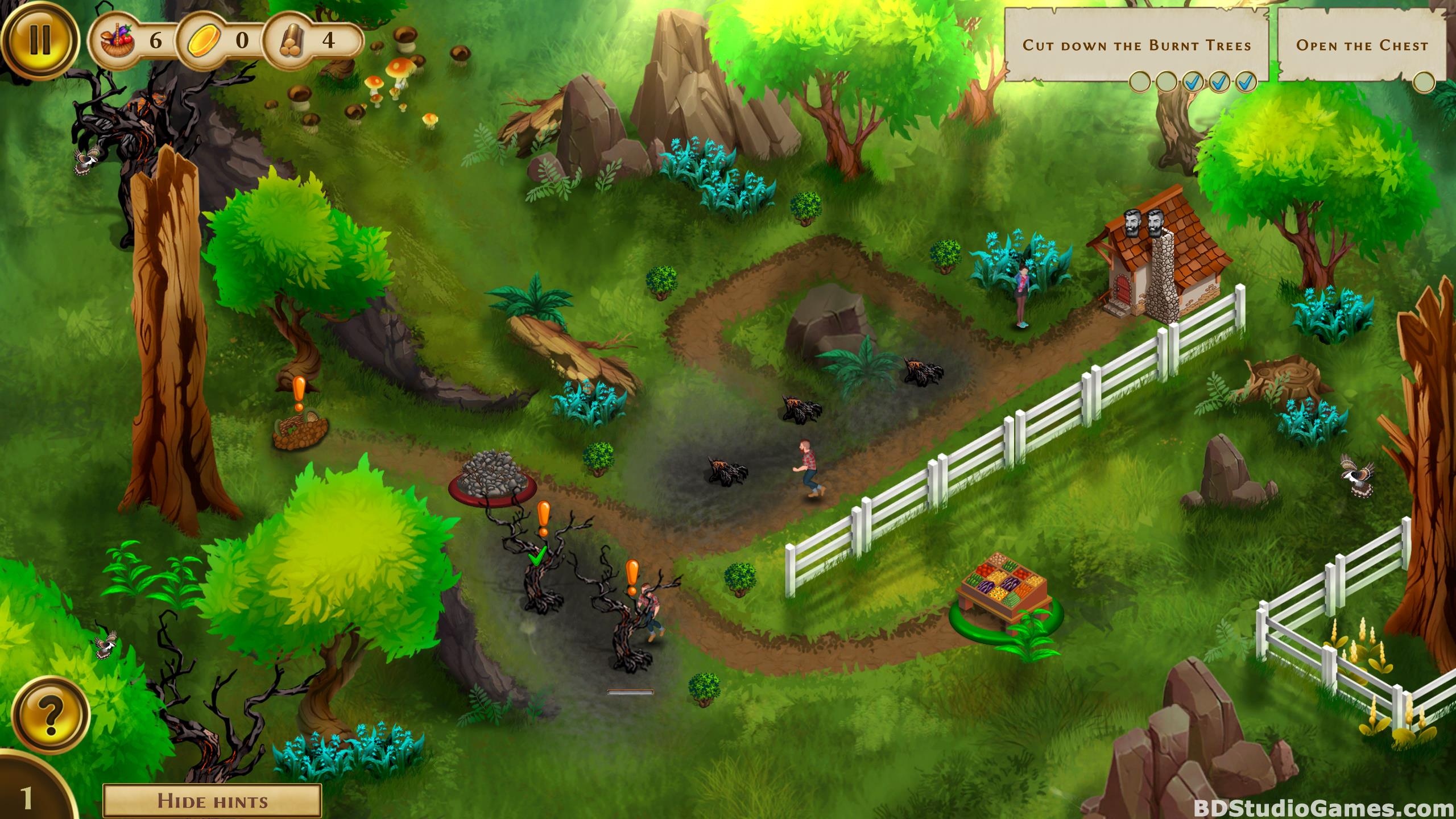 Ellie's Farm: Forest Fires Collector's Edition Free Download Screenshots 09