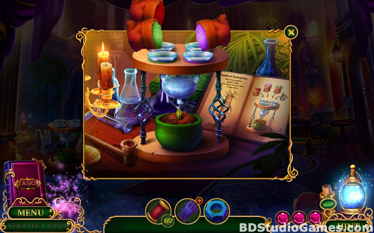 Enchanted Kingdom: Master of Riddles Collector's Edition Free Download Screenshots 17