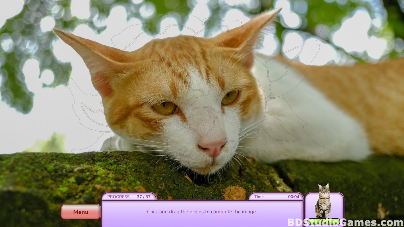 I Love Finding Cats Collector's Edition Free Download Screenshots 14