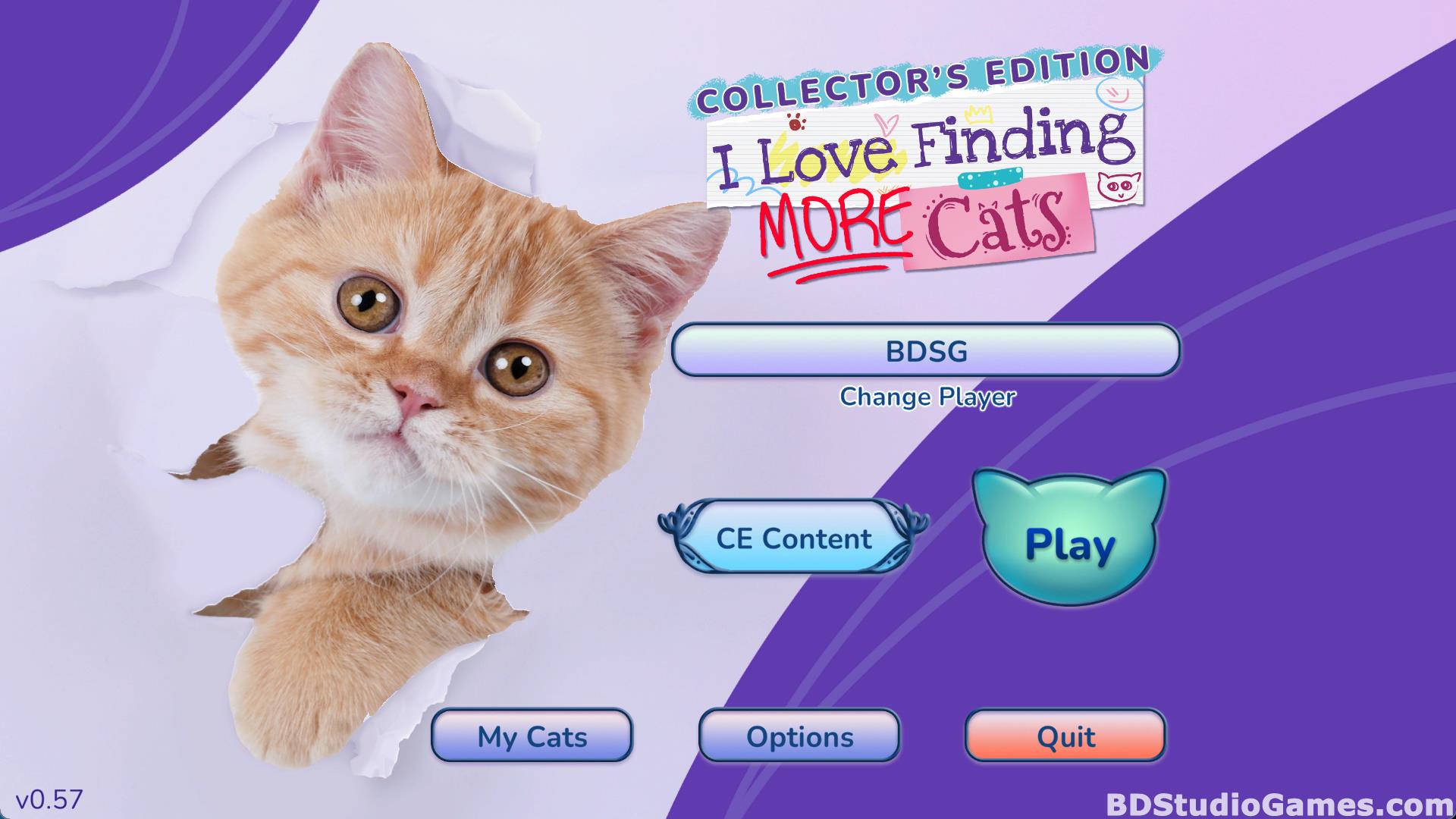 I Love Finding MORE Cats Collector's Edition Free Download Screenshots 01