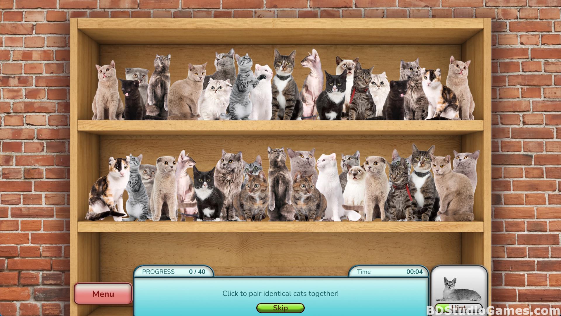 I Love Finding MORE Cats Collector's Edition Free Download Screenshots 16
