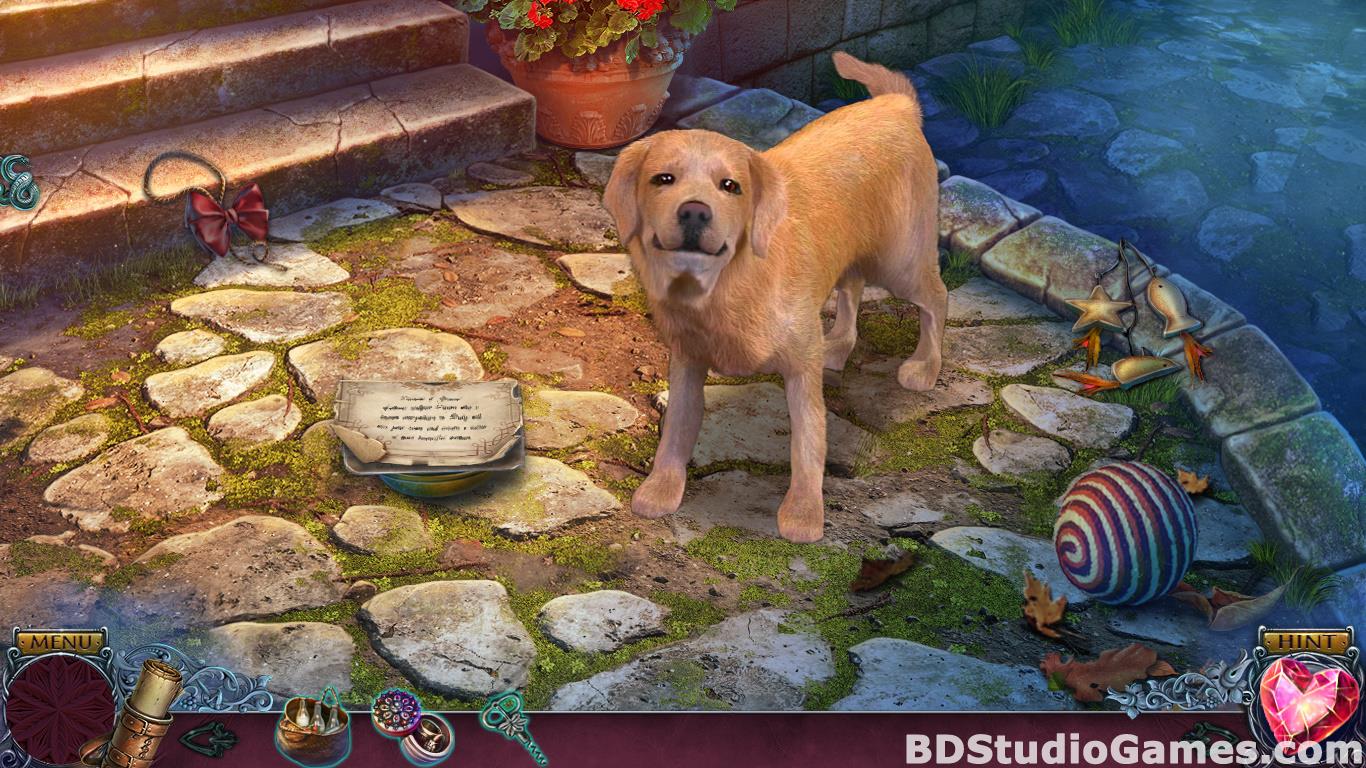 Immortal Love: Stone Beauty Collector's Edition Free Download Screenshots 12