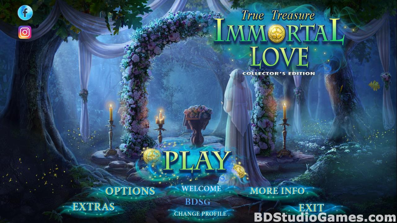 Immortal Love: True Treasure Collector's Edition Free Download Screenshots 05