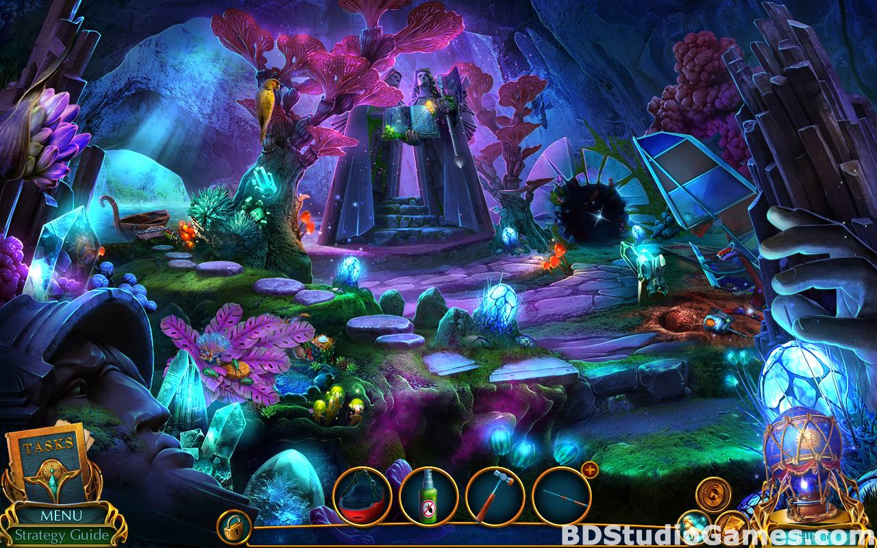 Labyrinths of the World: Hearts of the Planet Collector's Edition Free Download Screenshots 13