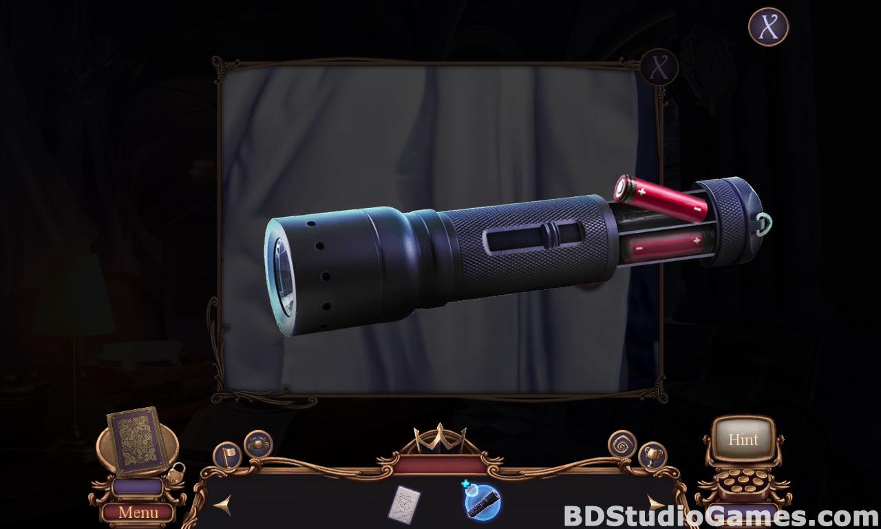 Mystery Case Files: Black Crown Collector's Edition Free Download Screenshots 09