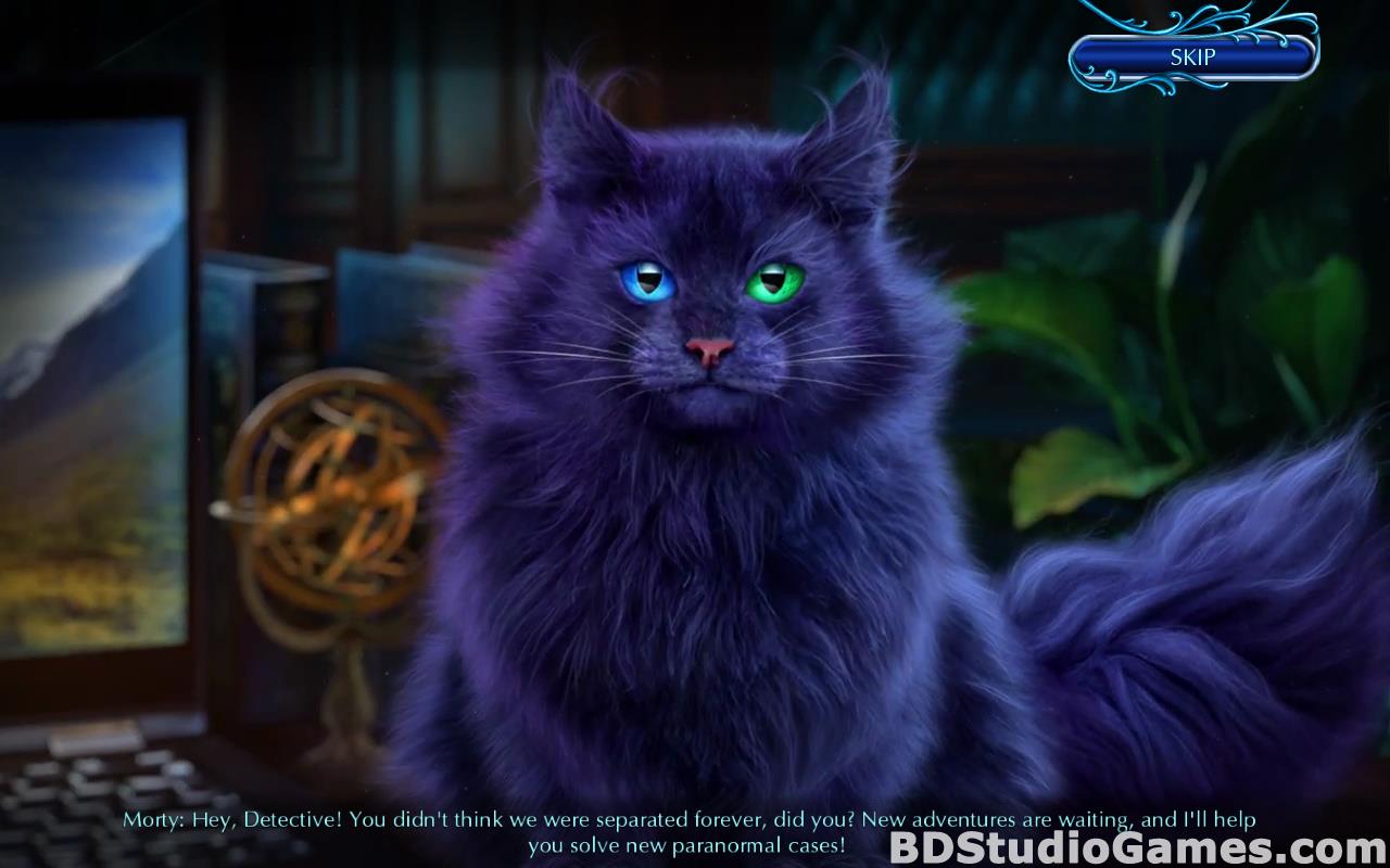 Mystery Tales: Death Bride Collector's Edition Free Download Screenshots 05
