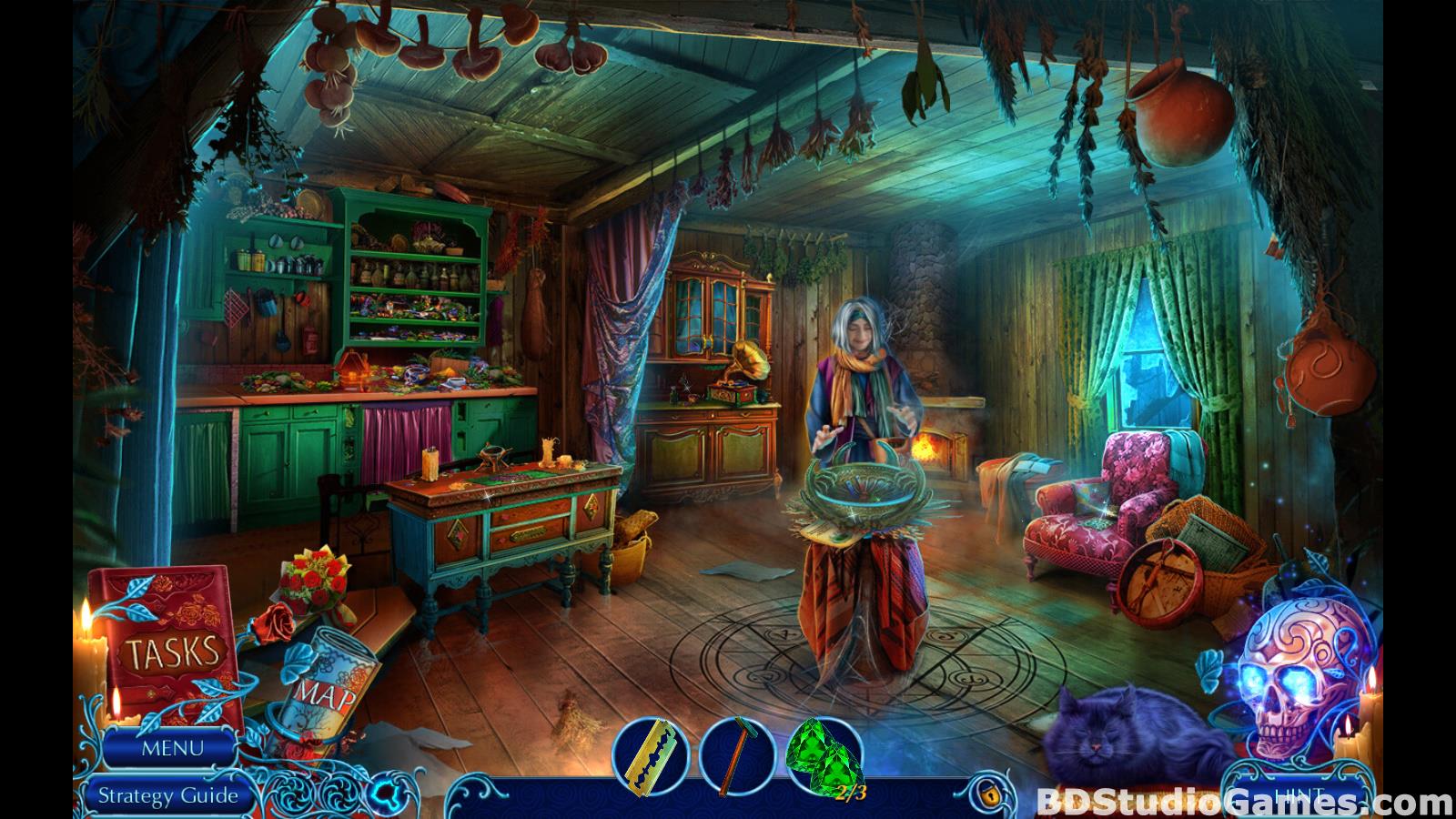 Mystery Tales: Til Death Collector's Edition Free Download Screenshots 18