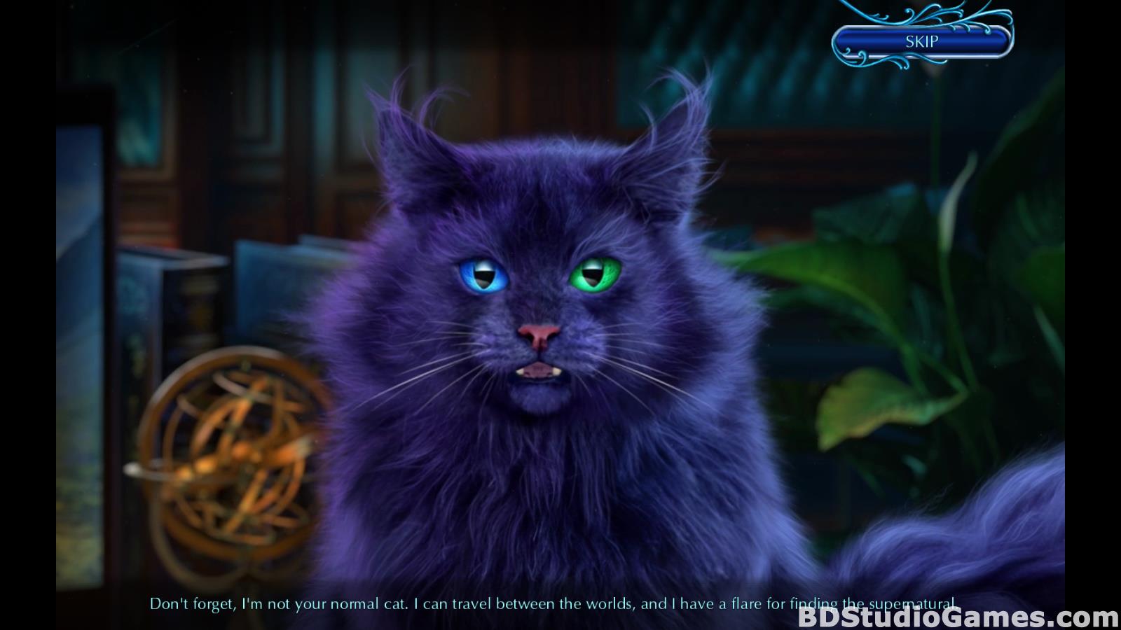 Mystery Tales: Til Death Collector's Edition Free Download Screenshots 04