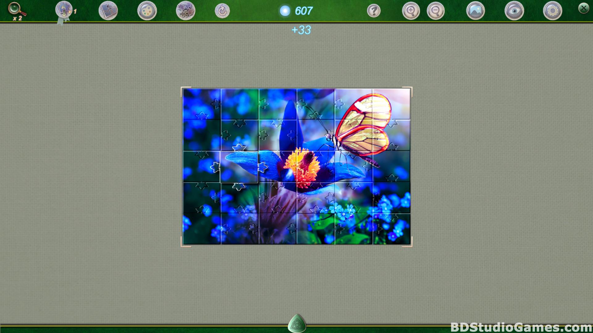 Puzzle Pieces 5: Fairy Ring Free Download Screenshots 10