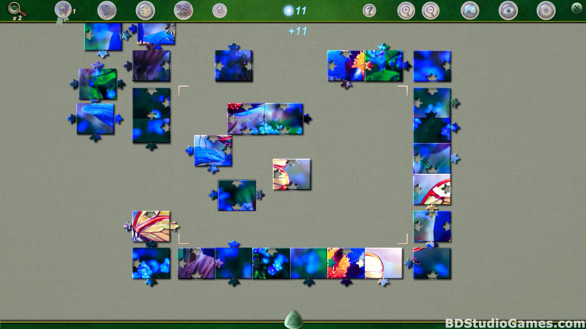 Puzzle Pieces 5: Fairy Ring Free Download Screenshots 08