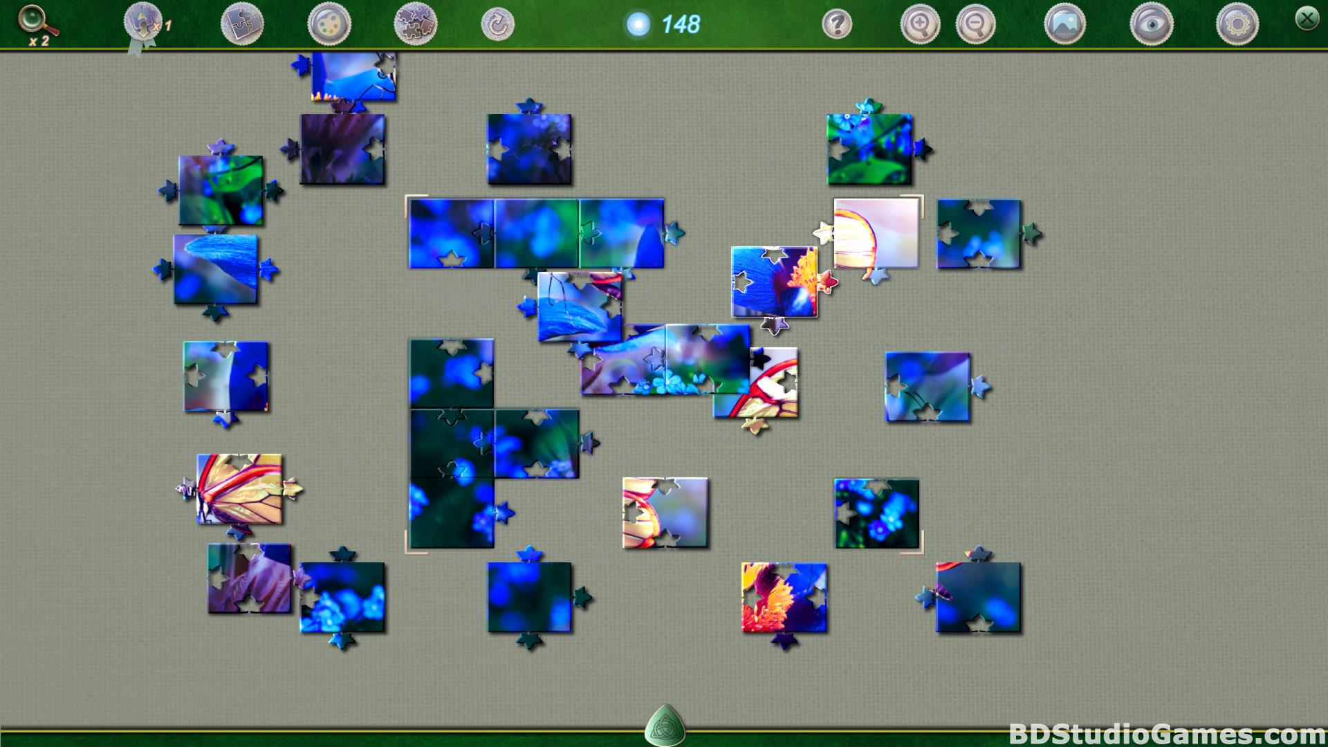 Puzzle Pieces 5: Fairy Ring Free Download Screenshots 09