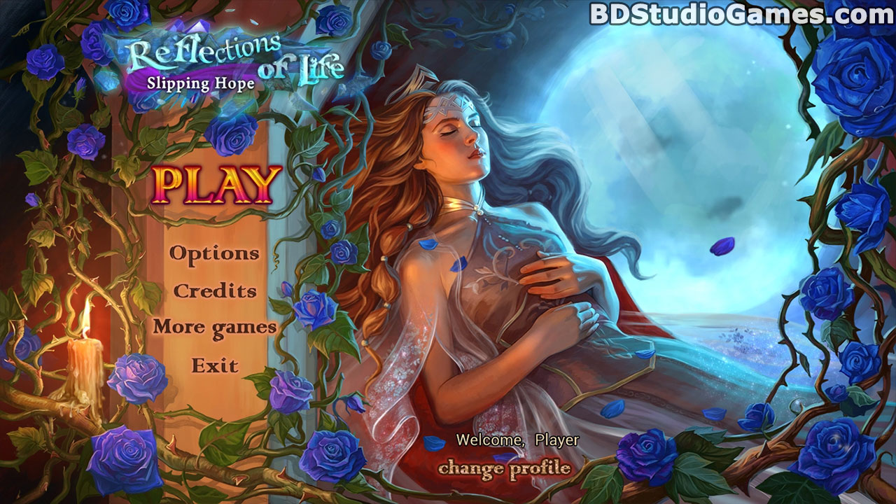 Reflections of Life: Slipping Hope Collector's Edition Free Download Screenshots 1