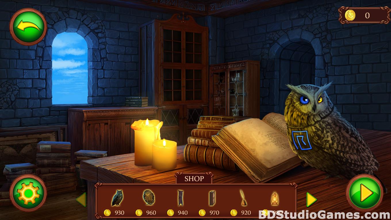 Riddles of the Owls Kingdom: Magic Wings Free Download Screenshots 04