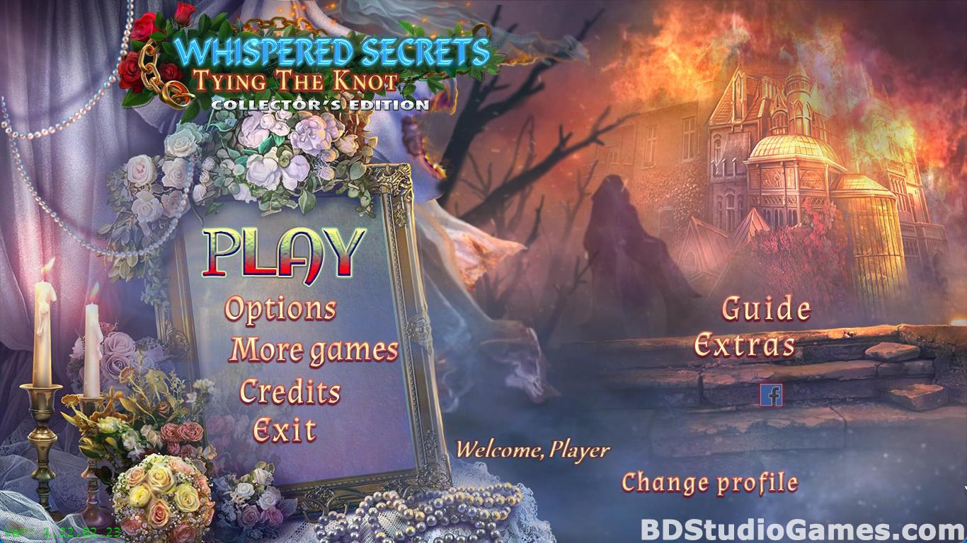 Whispered Secrets: Tying the Knot Collector's Edition Free Download Screenshots 02