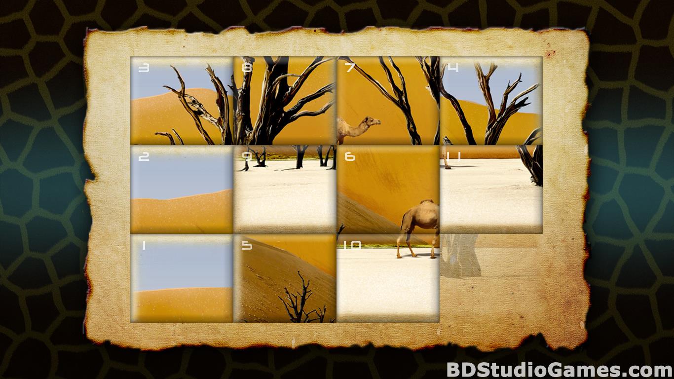 Wilderness Mosaic 3: Photo Safari Free Download Screenshots 18